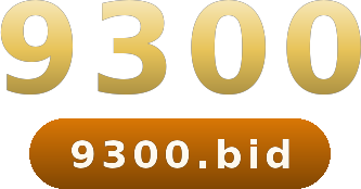 9300 logo